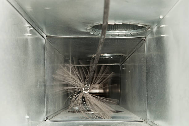Best Affordable Duct Cleaning Services  in Arvada, CO
